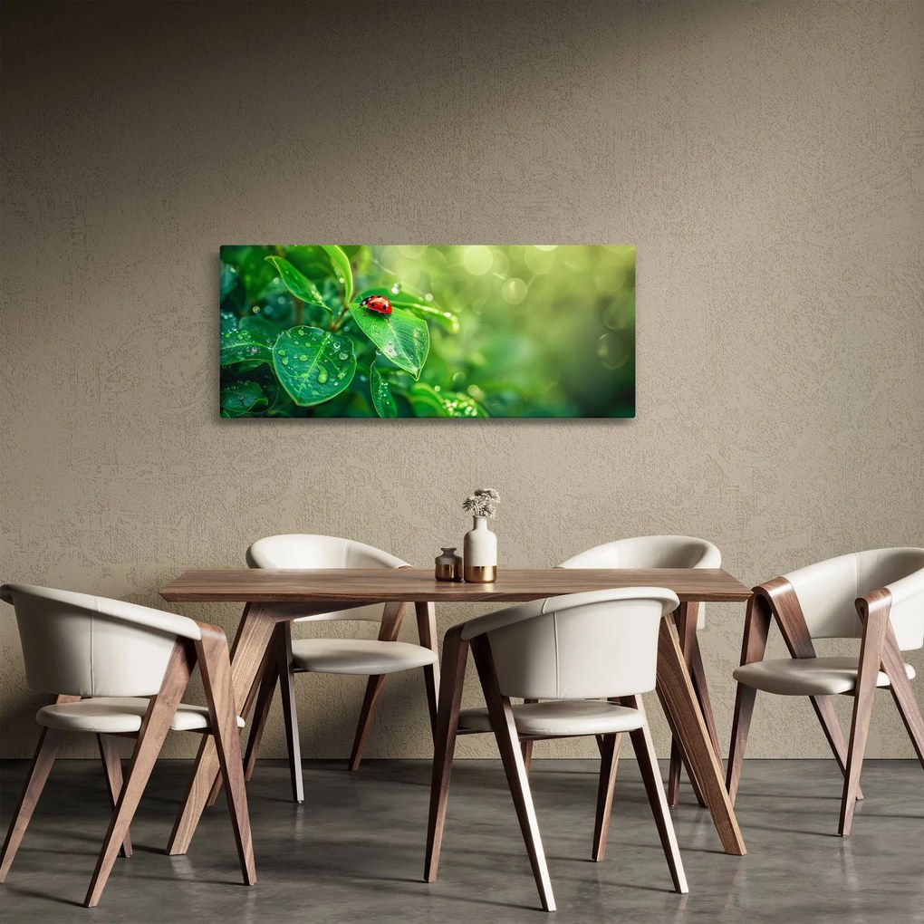 Kép - Katicabogár (120x50 cm)