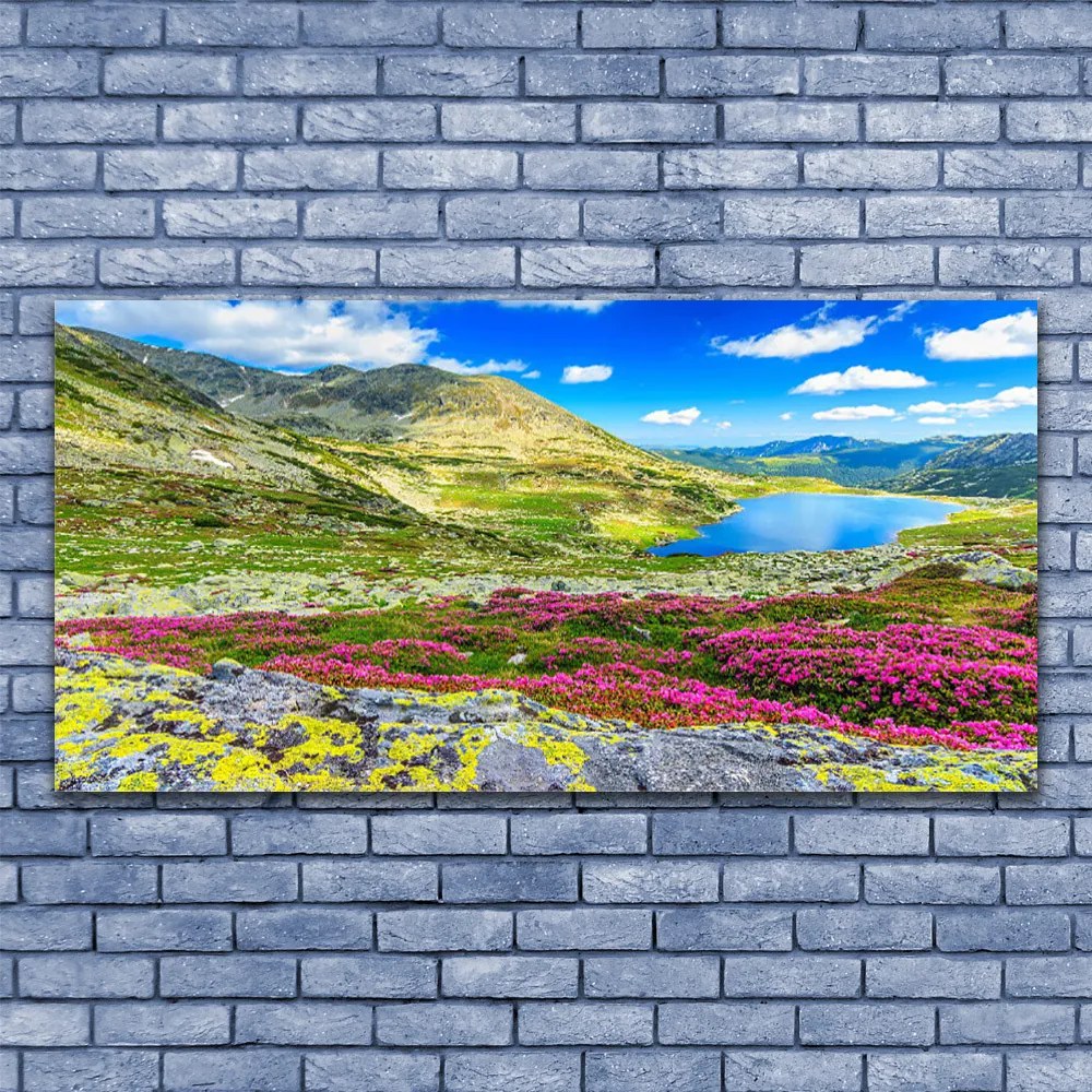 Vászonkép nyomtatás Top Bay Mező Természet 100x50 cm