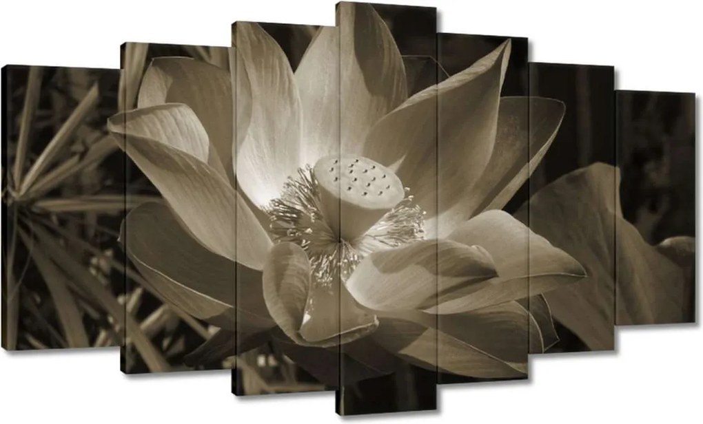 Vászonkép 140x80 Lótusz Lótuszvirág