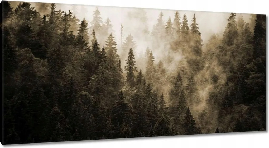 Festmények 115x55 Tájkép Szépia Hegyek Köd