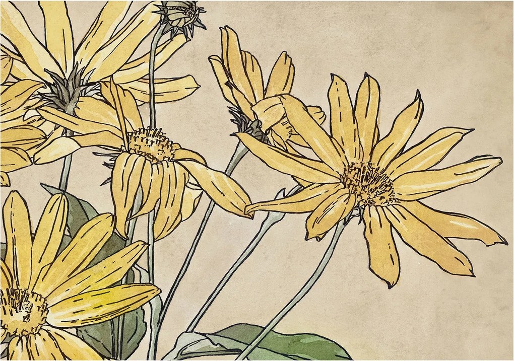 Fotótapéta Flizelin Dekoratív tapéta Virágok akvarell 312x219 Ragasztó