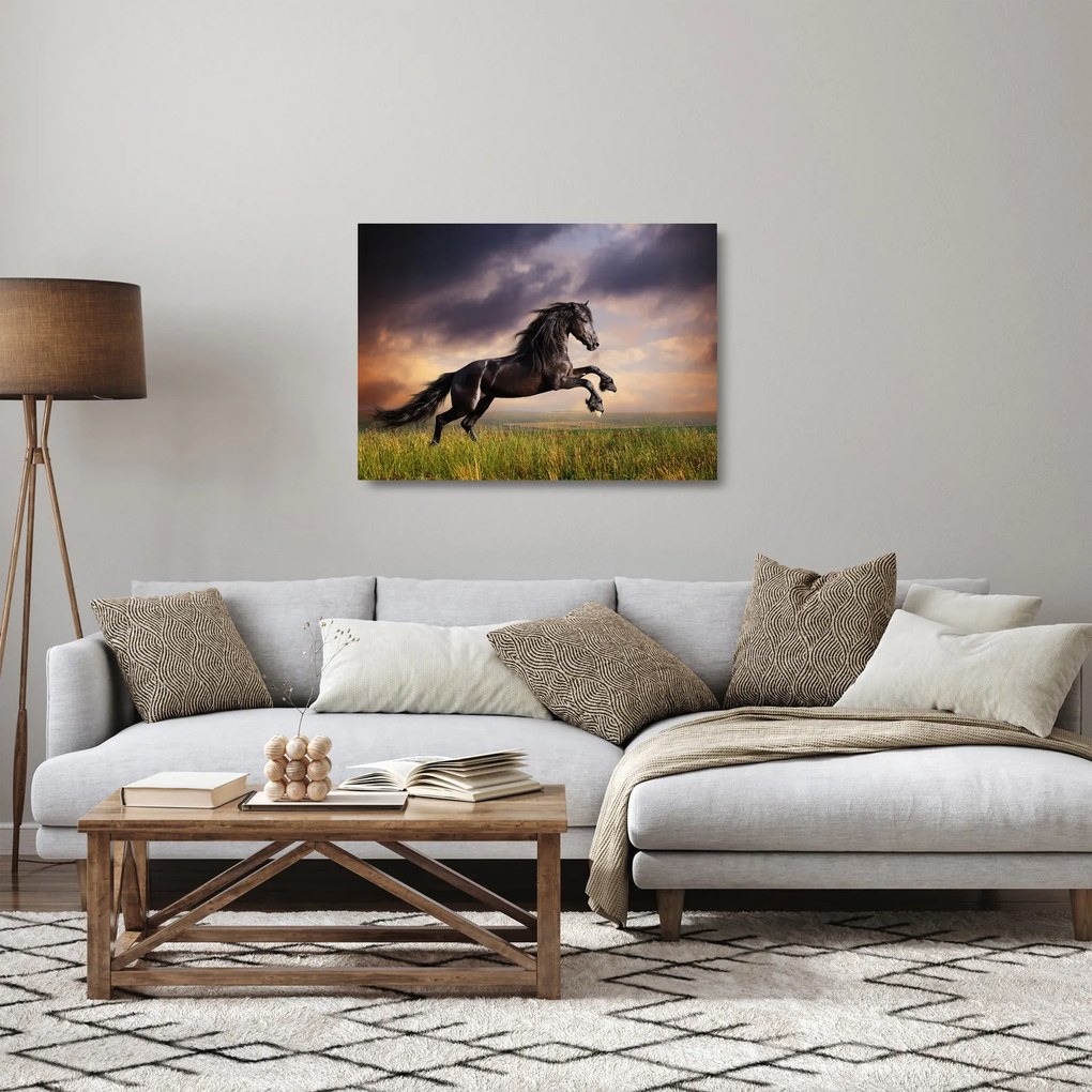 Üveg kép - Lovak (70x50 cm)
