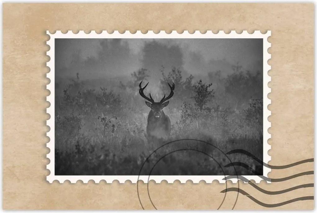 Poszterek 60x40 Szarvas a ködben