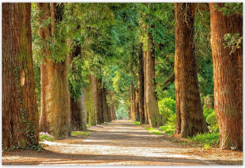 Poszterek 200x135 Tájkép