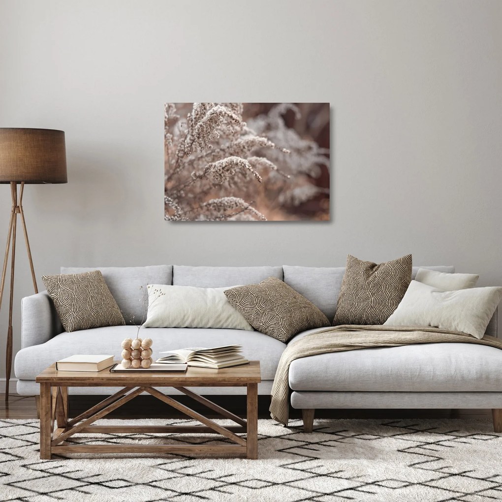 A növények képe (üvegen) (70x50 cm)