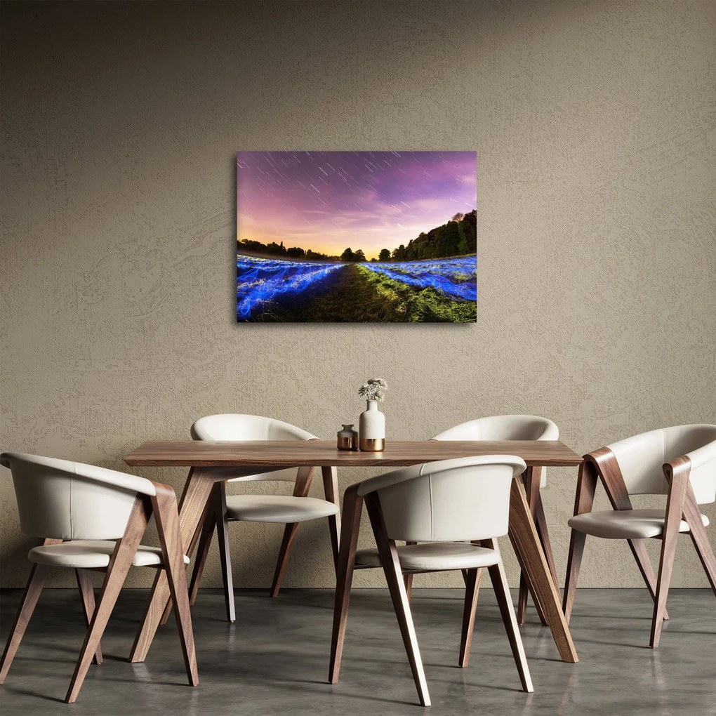 Színes mező képe (70x50 cm)
