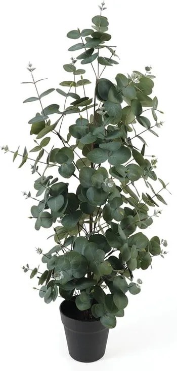 Mű eukaliptusz – PT LIVING