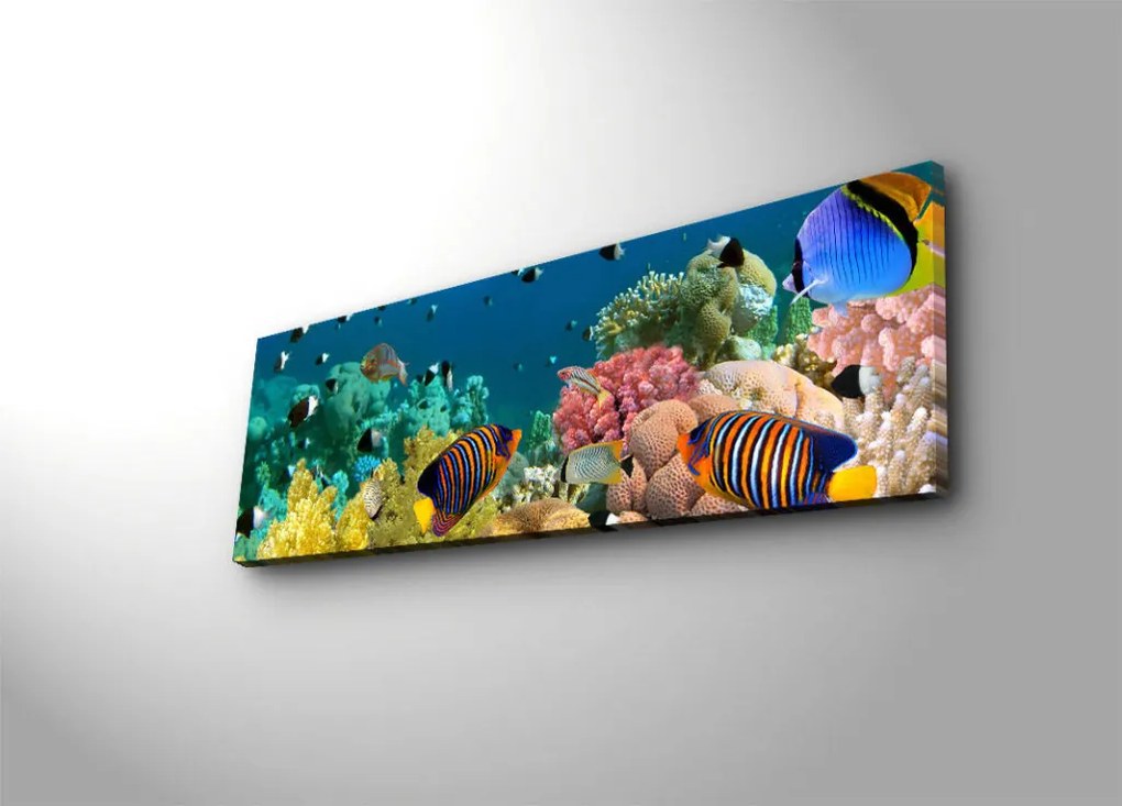 Vászonkép, 30×90 cm – 3090DACT-13