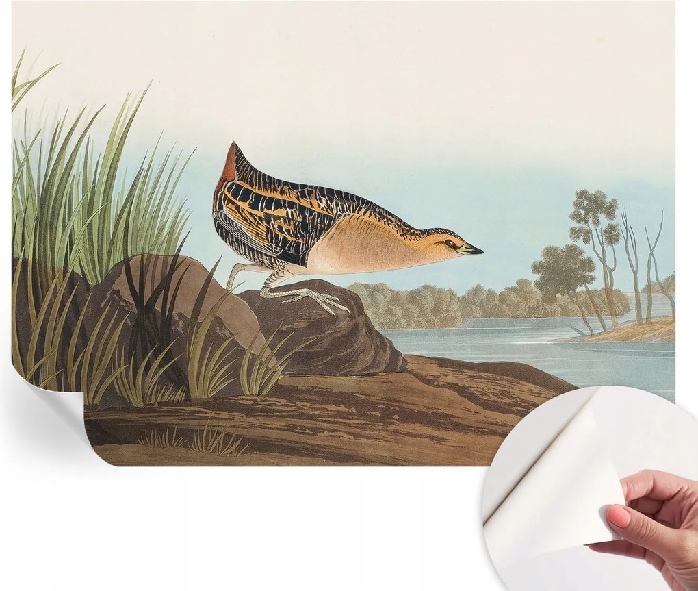 Dekoratív Öntapadós Tapéta Divatos Minták Természetes jelenet 312x219 cm