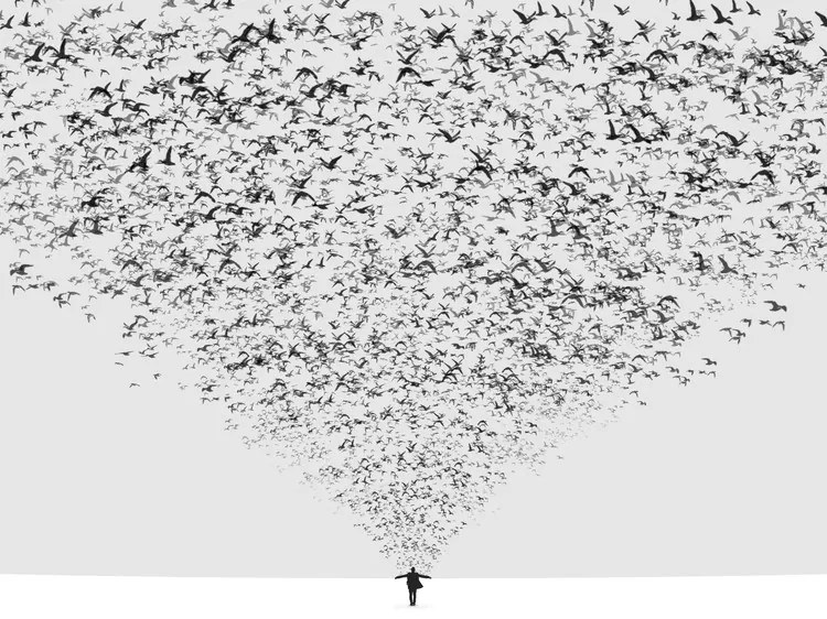 Fotográfia The Dark Half, Hossein	Zare