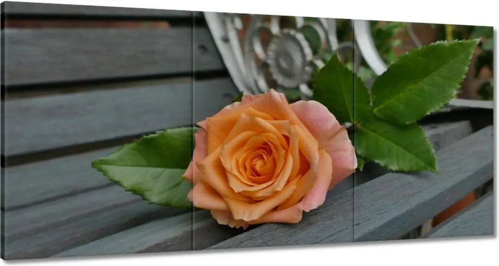 Vászonkép 180x90 Rózsa Virág Virágok Rózsa