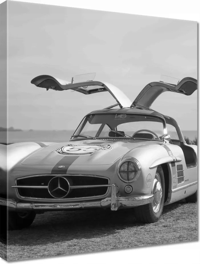 Vászonkép 40x50 Mercedes Gullwing