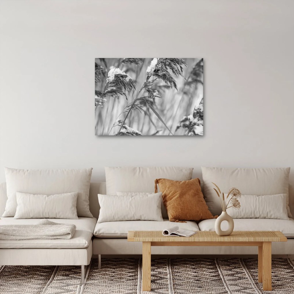Kép - Lipnica, fekete-fehér (70x50 cm)
