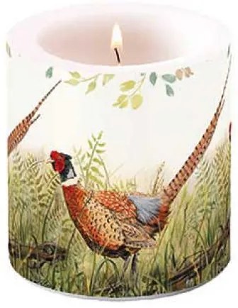 Átvilágítós viasz gyertya dicsőséges fácán