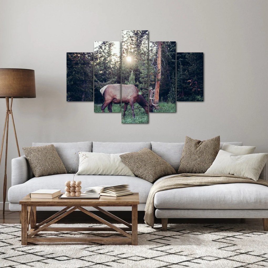 Kép - Jávorszárvas a tisztáson (150x105 cm)