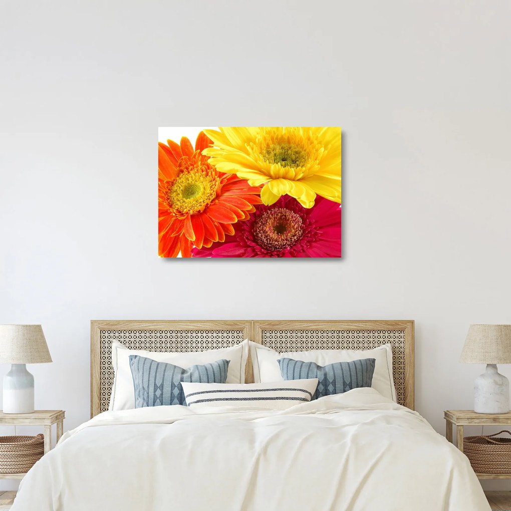 Üveg kép - Virágok Gerbery (70x50 cm)