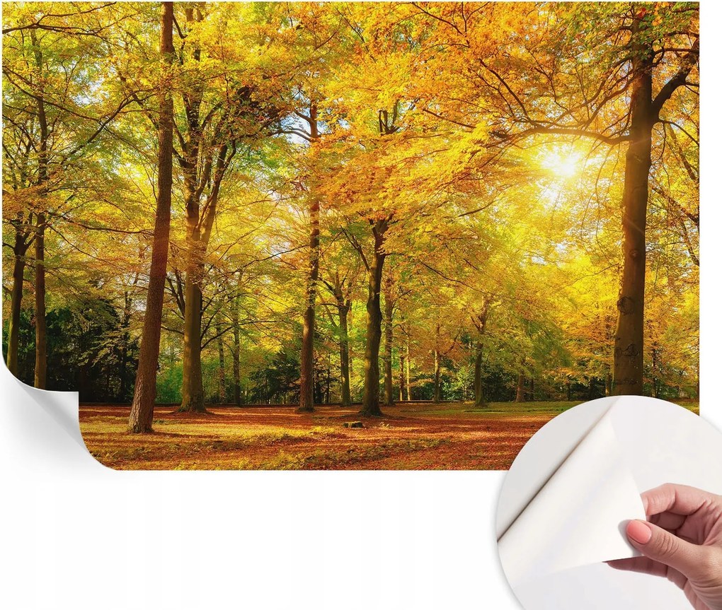 Öntapadós Dekoratív Fotótapéta Hálószobába Arany levelek 104x70 cm