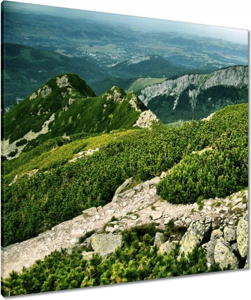 Vászonkép 80x80 Tátra Lengyel hegyek Kilátás