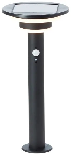 Brilliant - LED Napelemes lámpa érzékelővel GARVINA LED/3W/3,7V 45 cm IP44 fekete