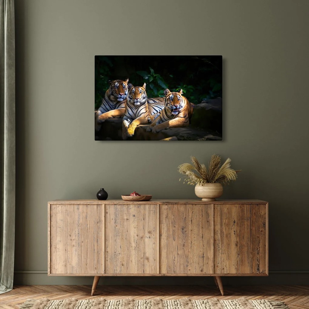 Kép - Tigris testvérek (90x60 cm)