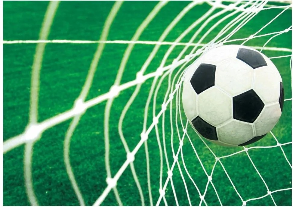 Focis fotótapéta 3D foci 152 x 104