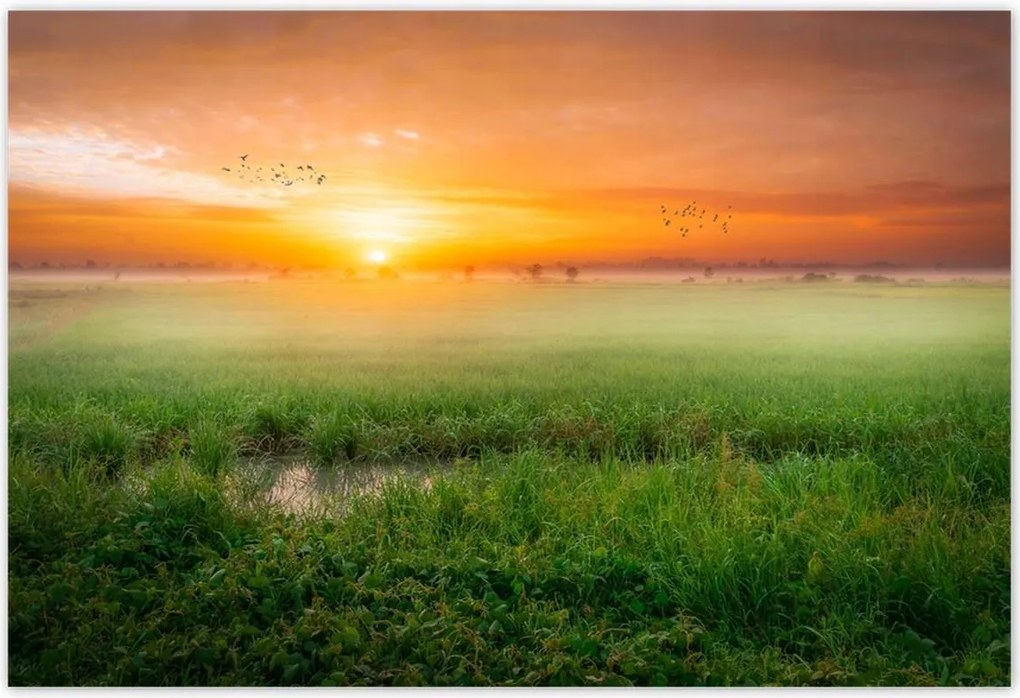 Plakátok 155x105 Sunrise Waking up