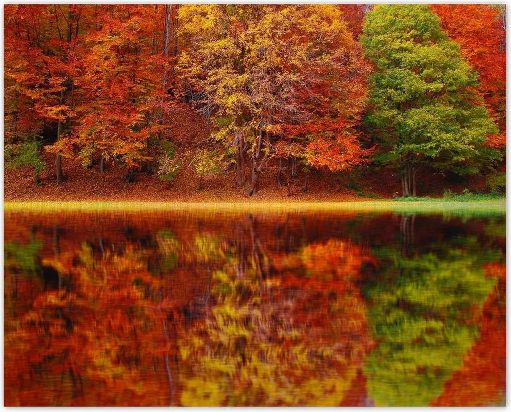 Poszterek 50x40 Őszi táj