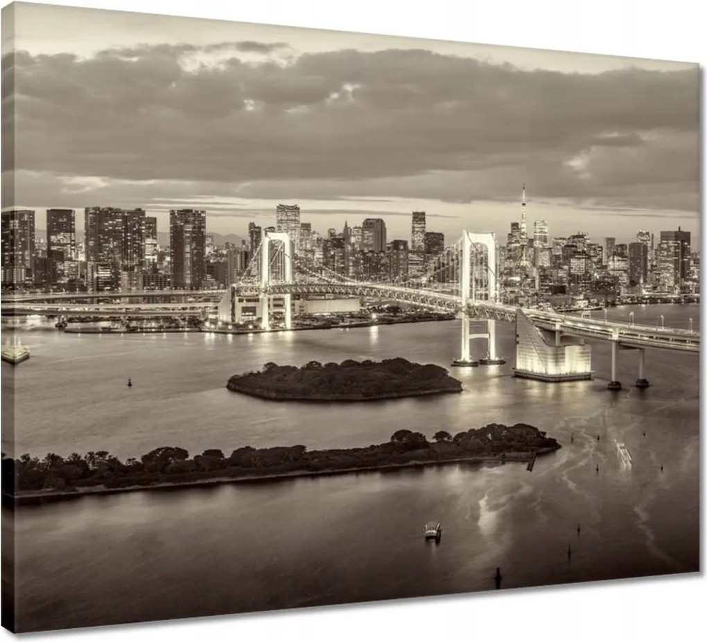 Vászonkép 50x40 Szivárványhíd Tokióban