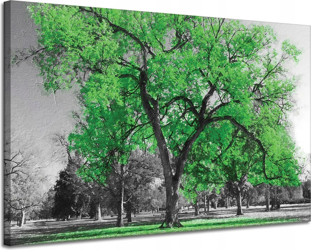 Vászonkép Fekete fák Zöld levelek Művészet 120x80 cm