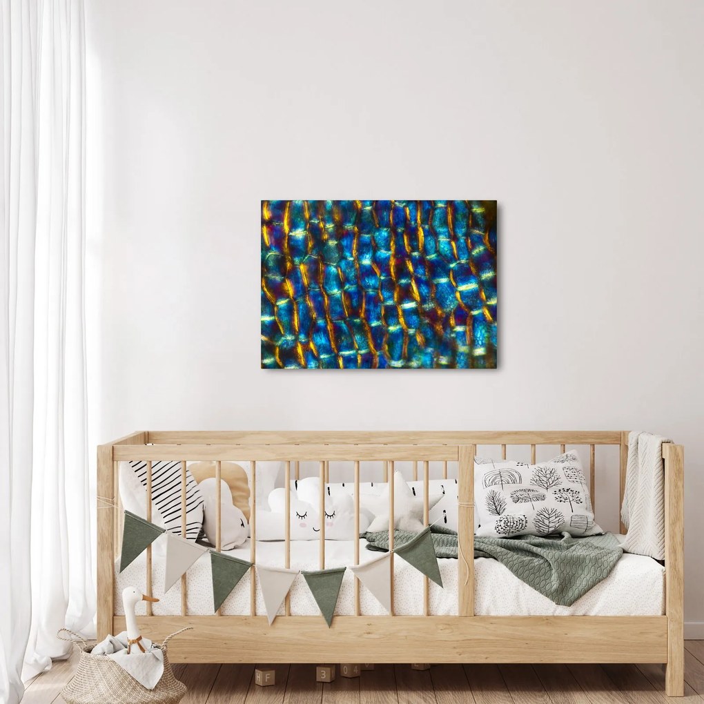 Kép - Sejtfal (70x50 cm)