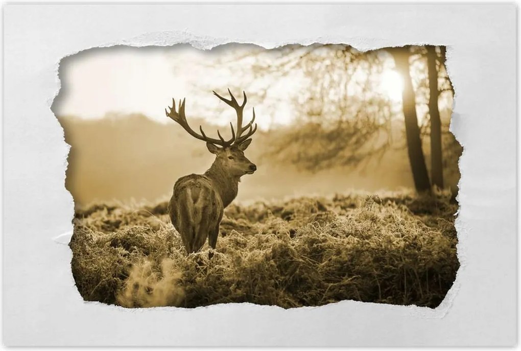 Poszterek 90x60 Szarvas az erdőben