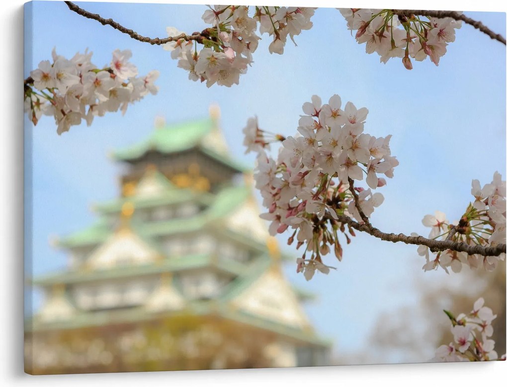 Kép - Sakura (70x50 cm)
