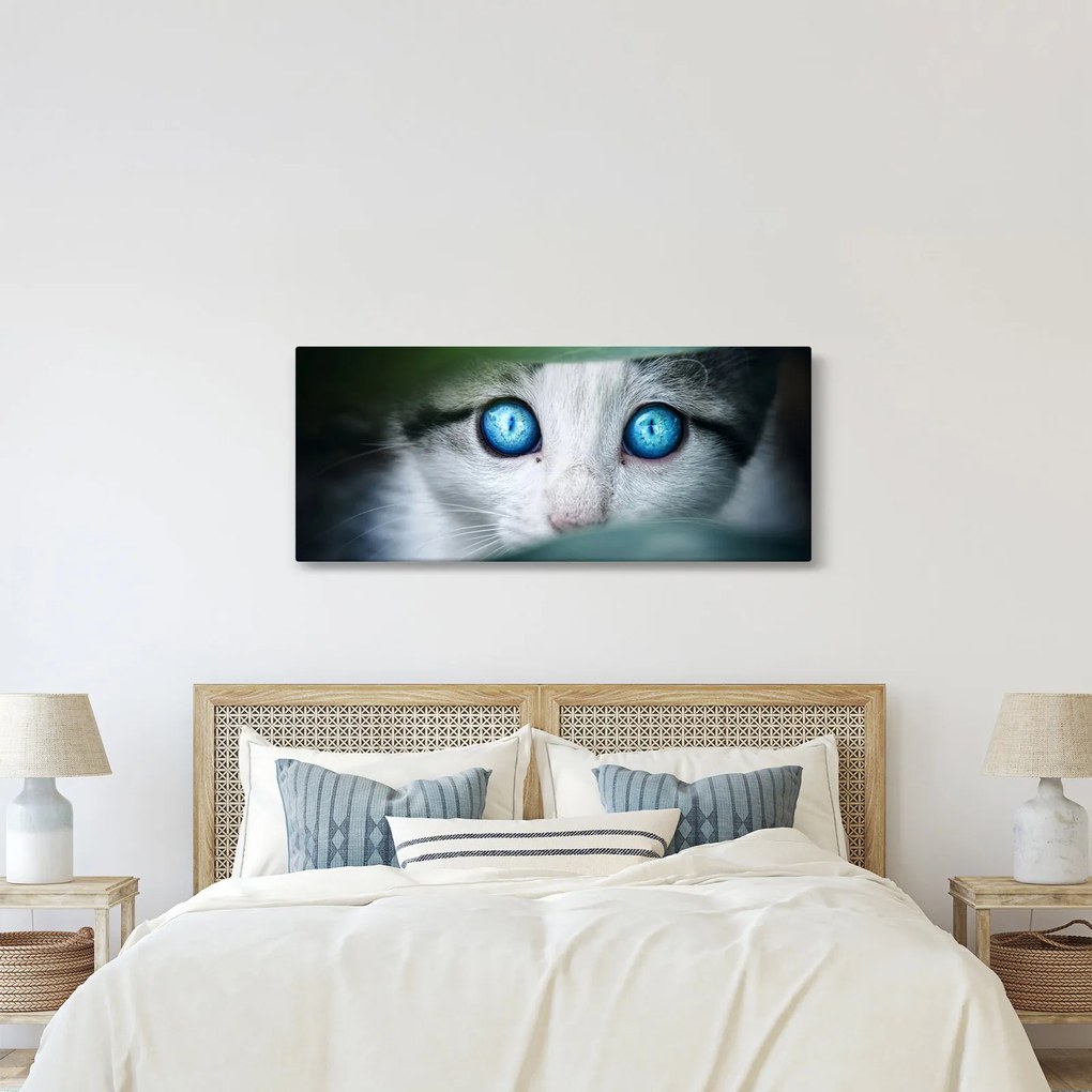 Macska képe (120x50 cm)