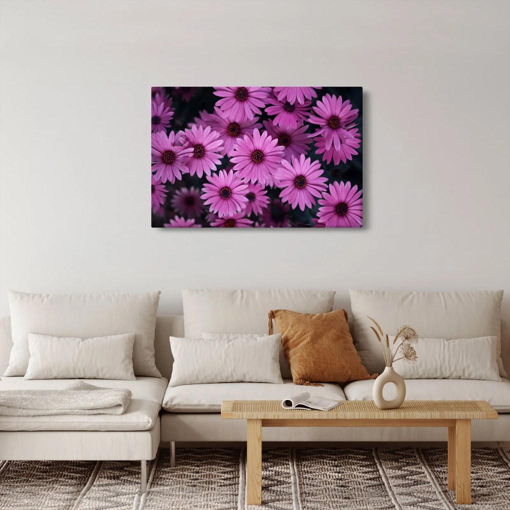 Rózsaszín virágok képe (90x60 cm)
