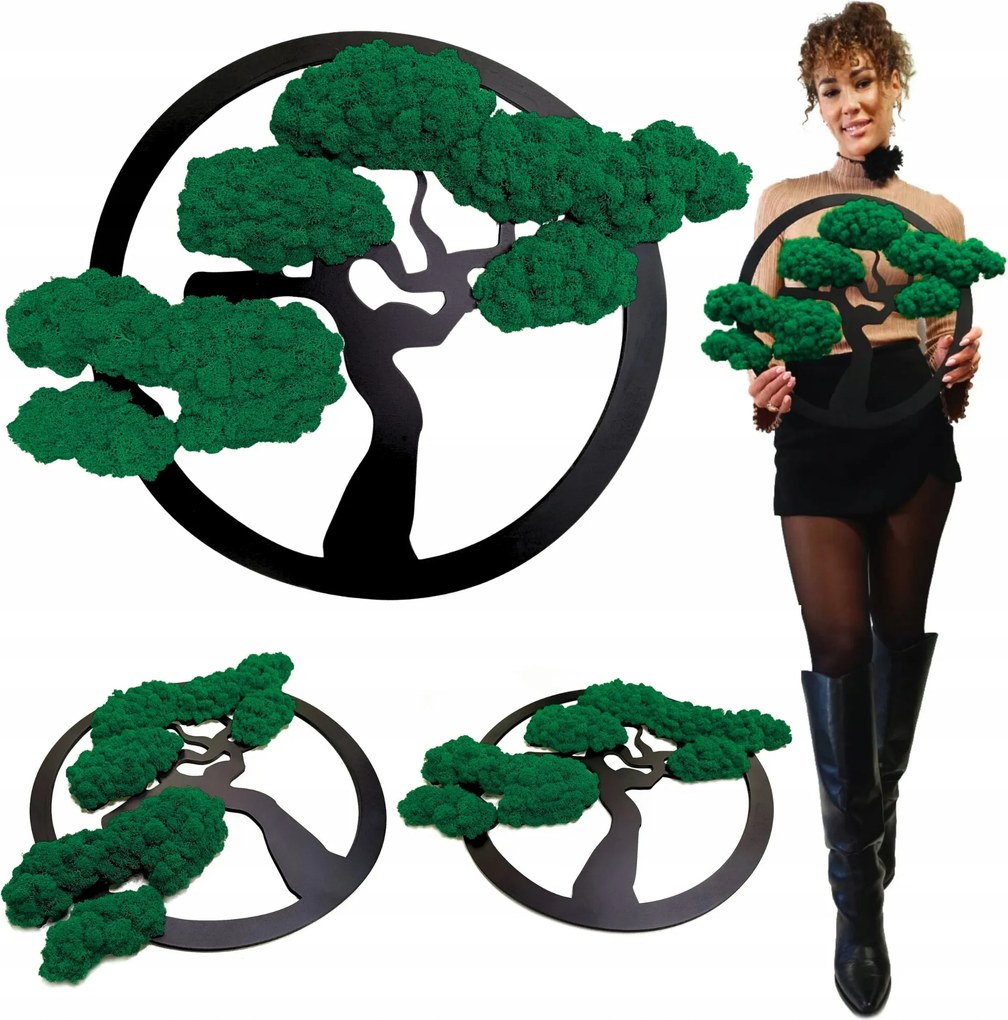 Vászonkép Moha Bonsai Fa Moha Fa Ajándék 53cm