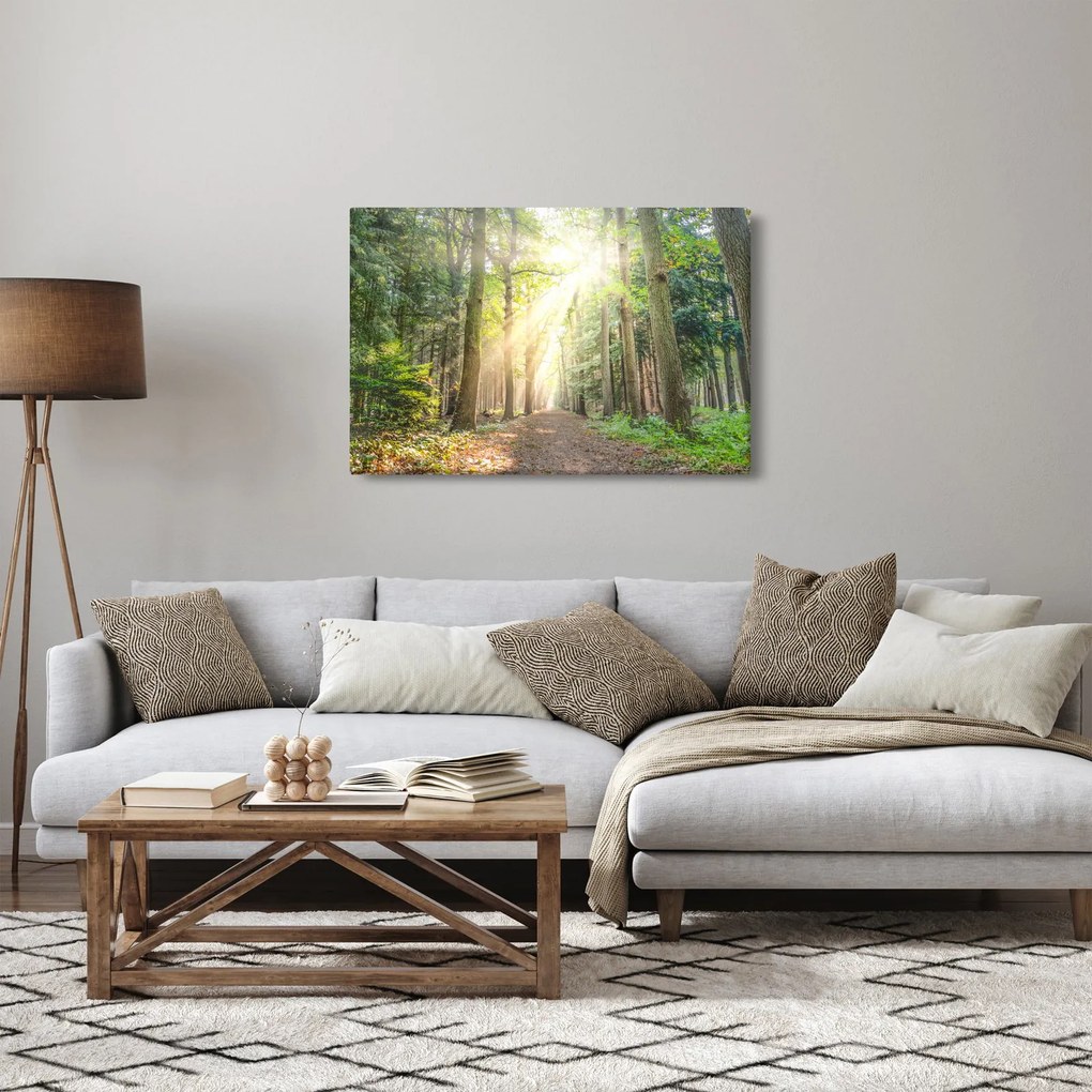 Egy ösvény képe az erdőben (90x60 cm)