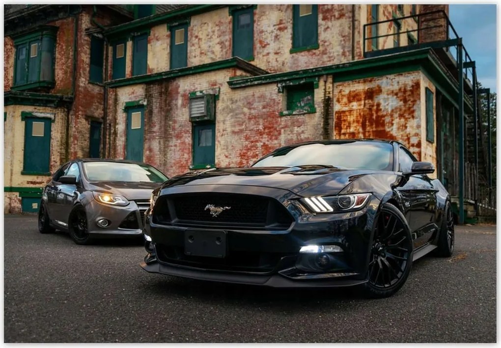 Fotótapéták 368x254 Fekete amerikai szörny