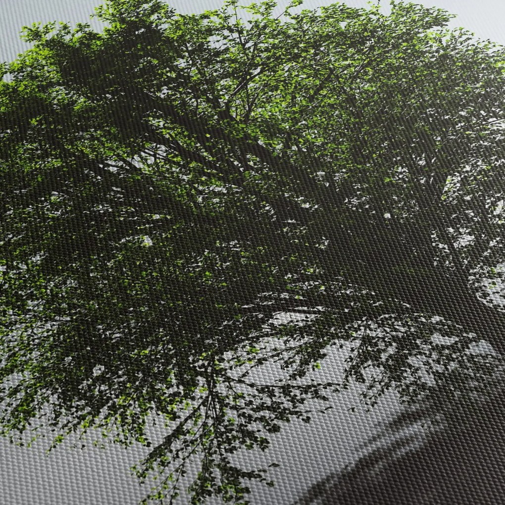 Kép - Magányos fa (120x50 cm)