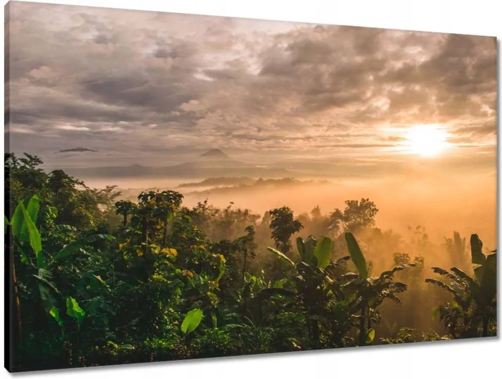 Vászonkép 90x60 Tájkép Látvány