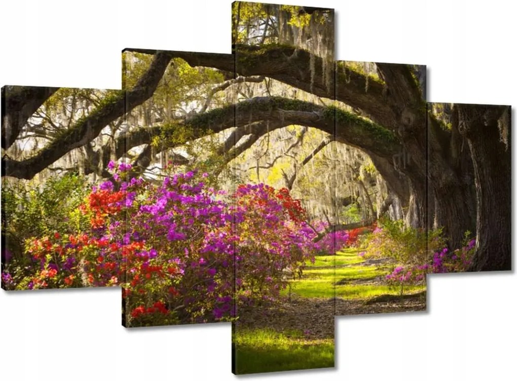 Vászonkép 100x70 Tölgyfa sikátor