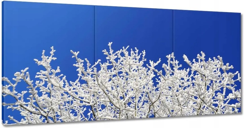 Képek 180x90 Téli fa Szron Hó