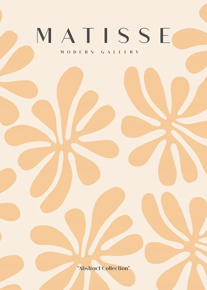 Matisse Absztrakt lazac Poszter 21x30cm #607