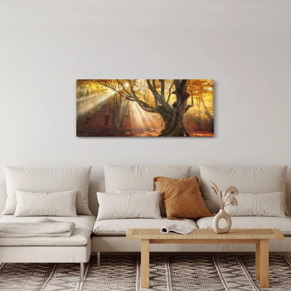 Kép - Őszi fény (120x50 cm)