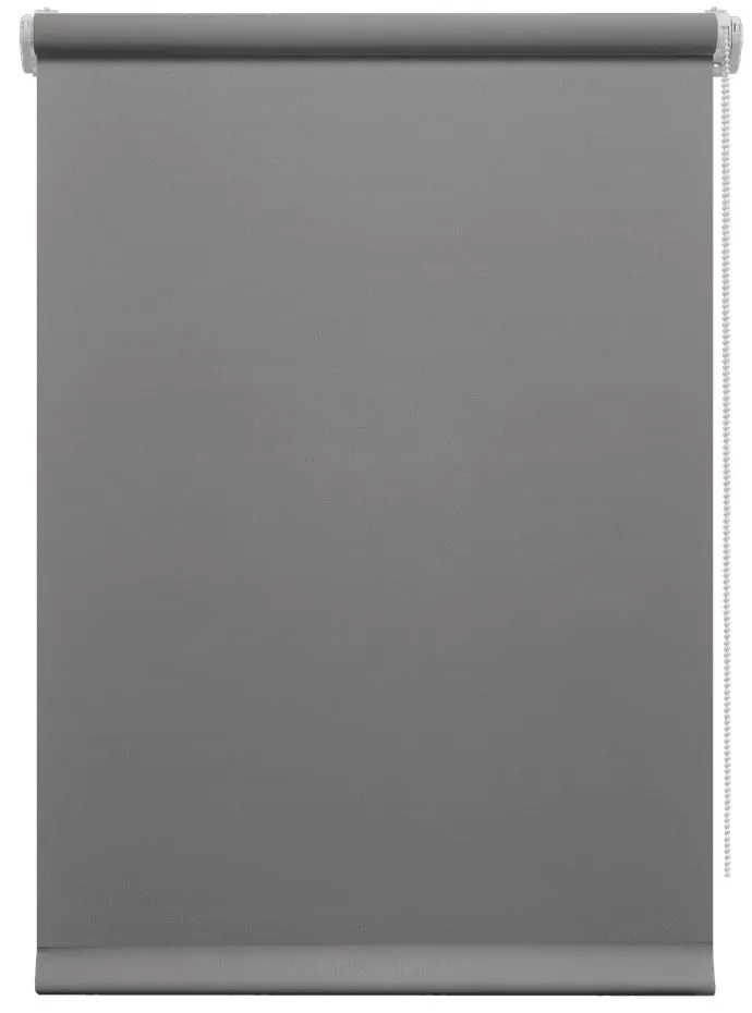 Sötétszürke roló 80x150 cm Mini Relax – Gardinia