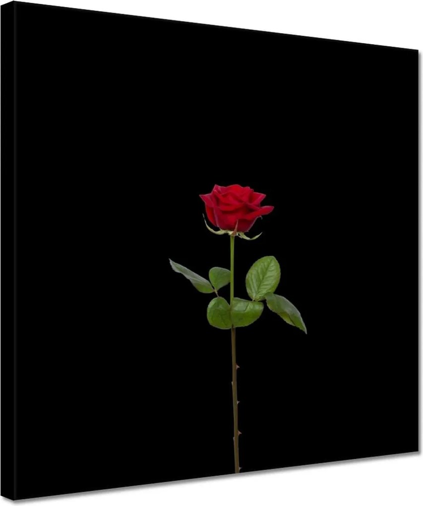 Vászonkép 30x30 Nőnap Ajándék Love