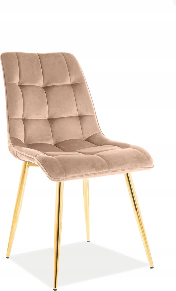 Kárpitozott szék Chic Velvet bézs/arany Sig