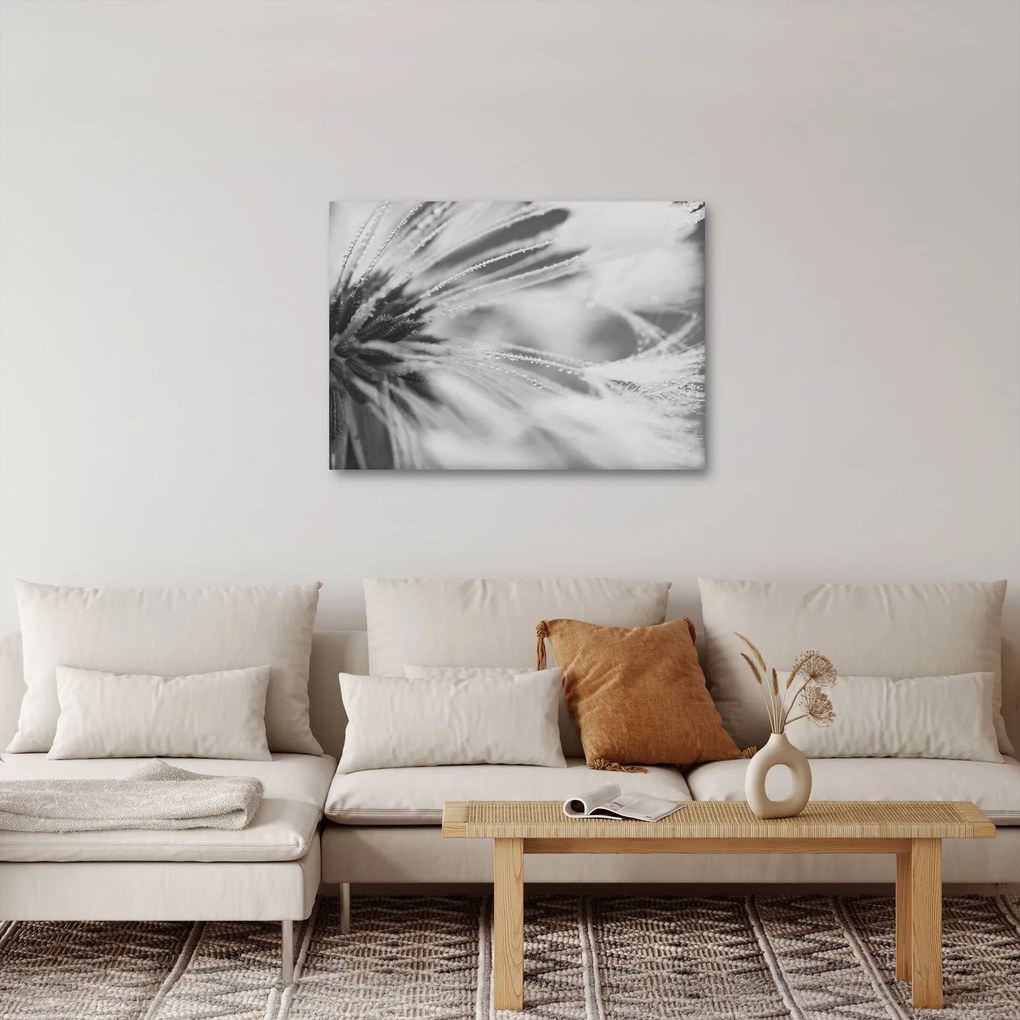 Kép - Pitypang (70x50 cm)