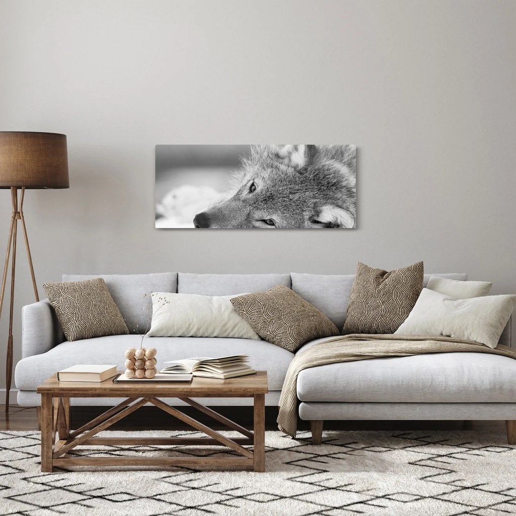 Kép - Farkas, fekete-fehér (120x50 cm)