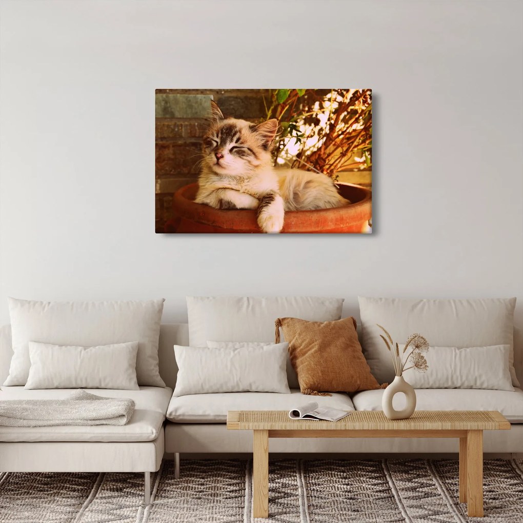 Macska a virágcserépben képe (90x60 cm)