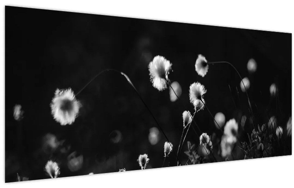 Kép - Gyapotfűvel borított rét N⁰1 (120x50 cm)